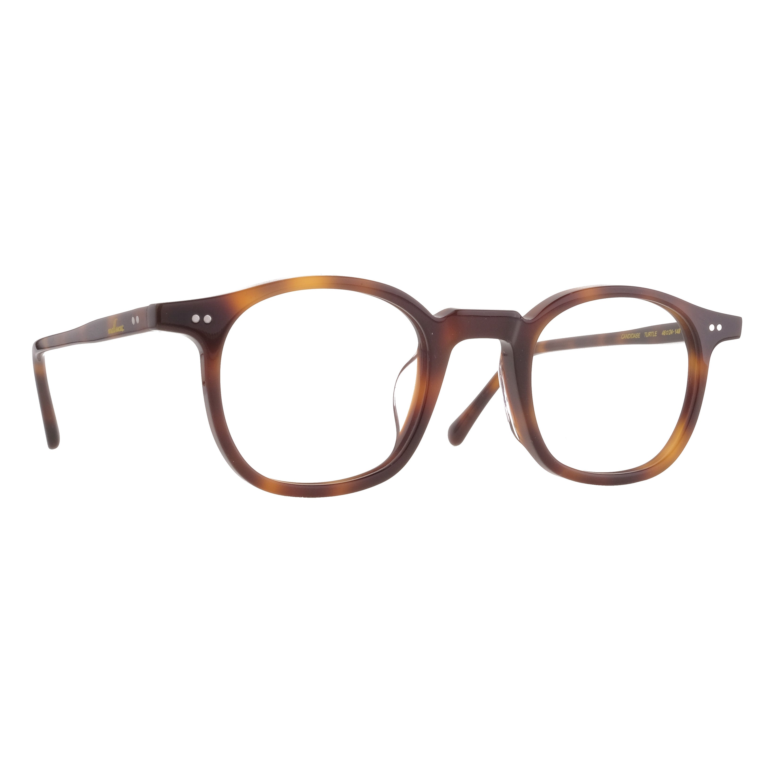 Mollucas The Architect Candidase