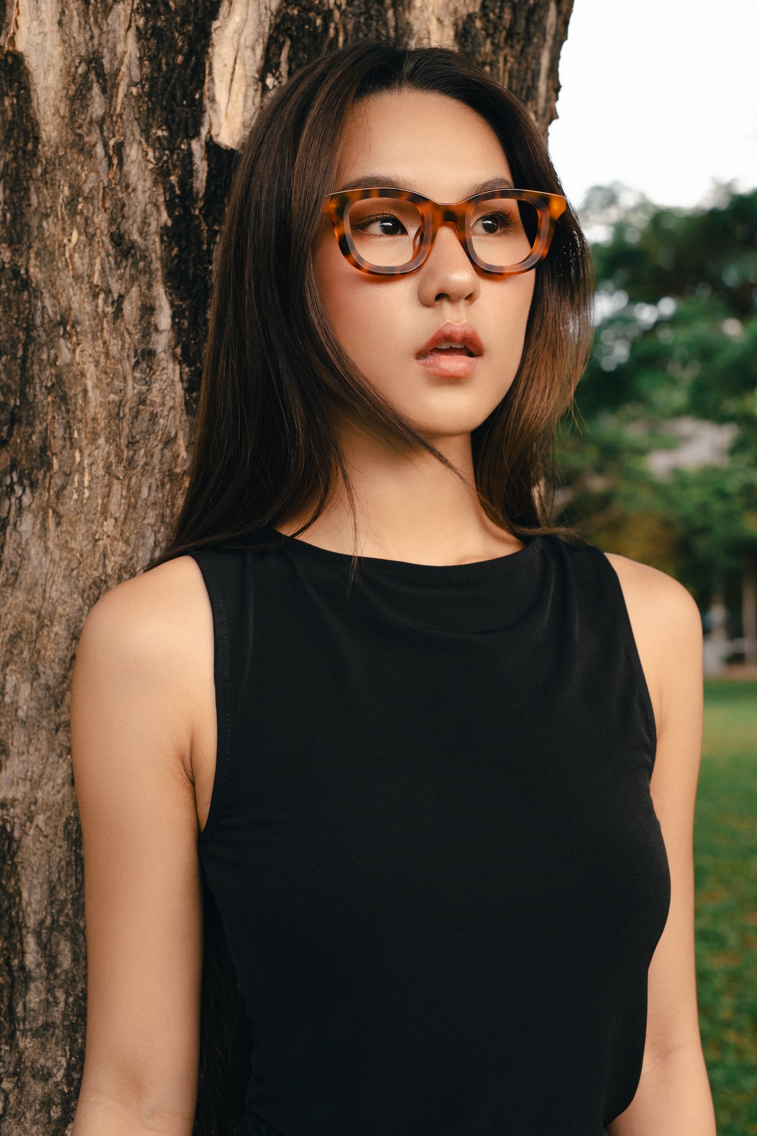 Mollucas The Designer