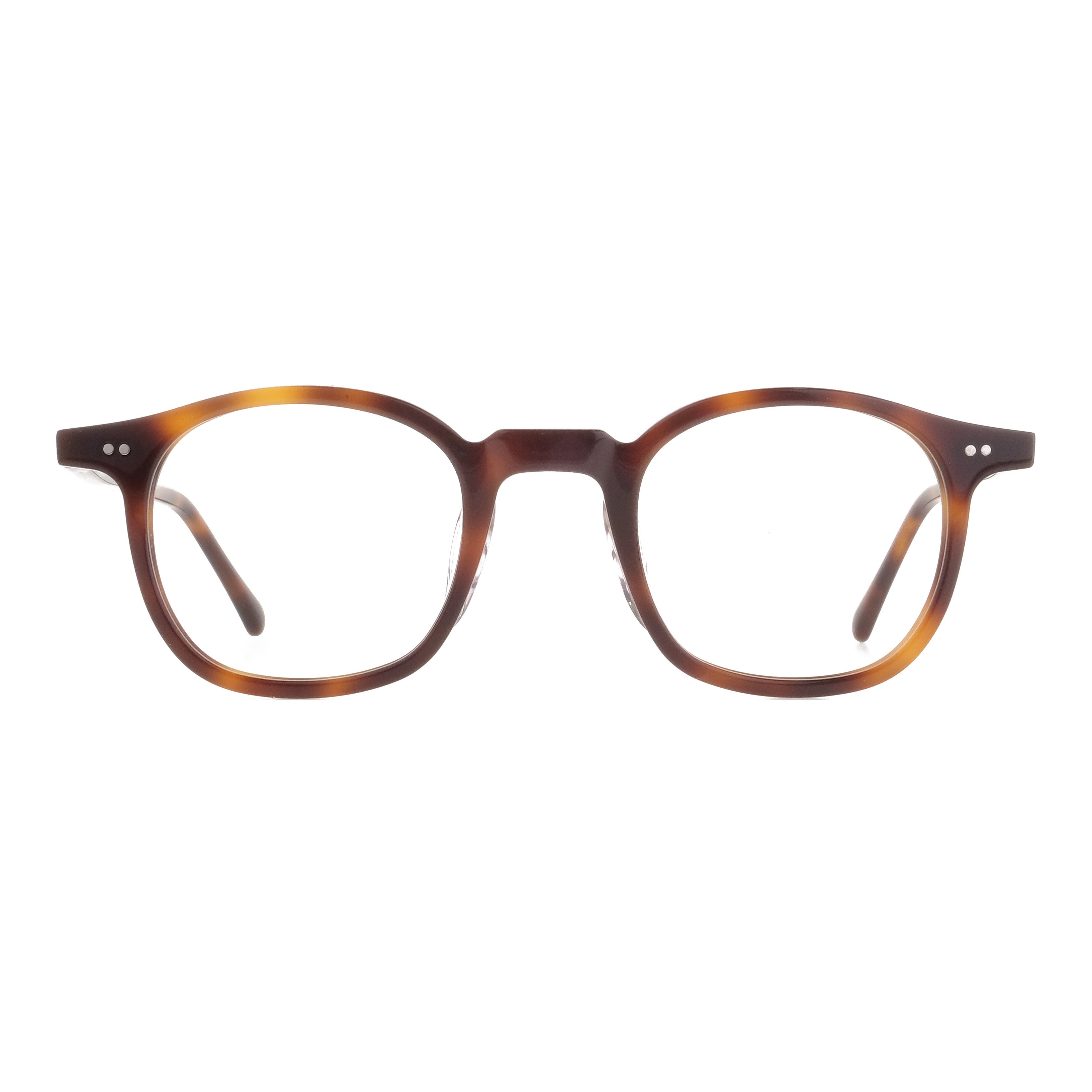 Mollucas The Architect Candidase