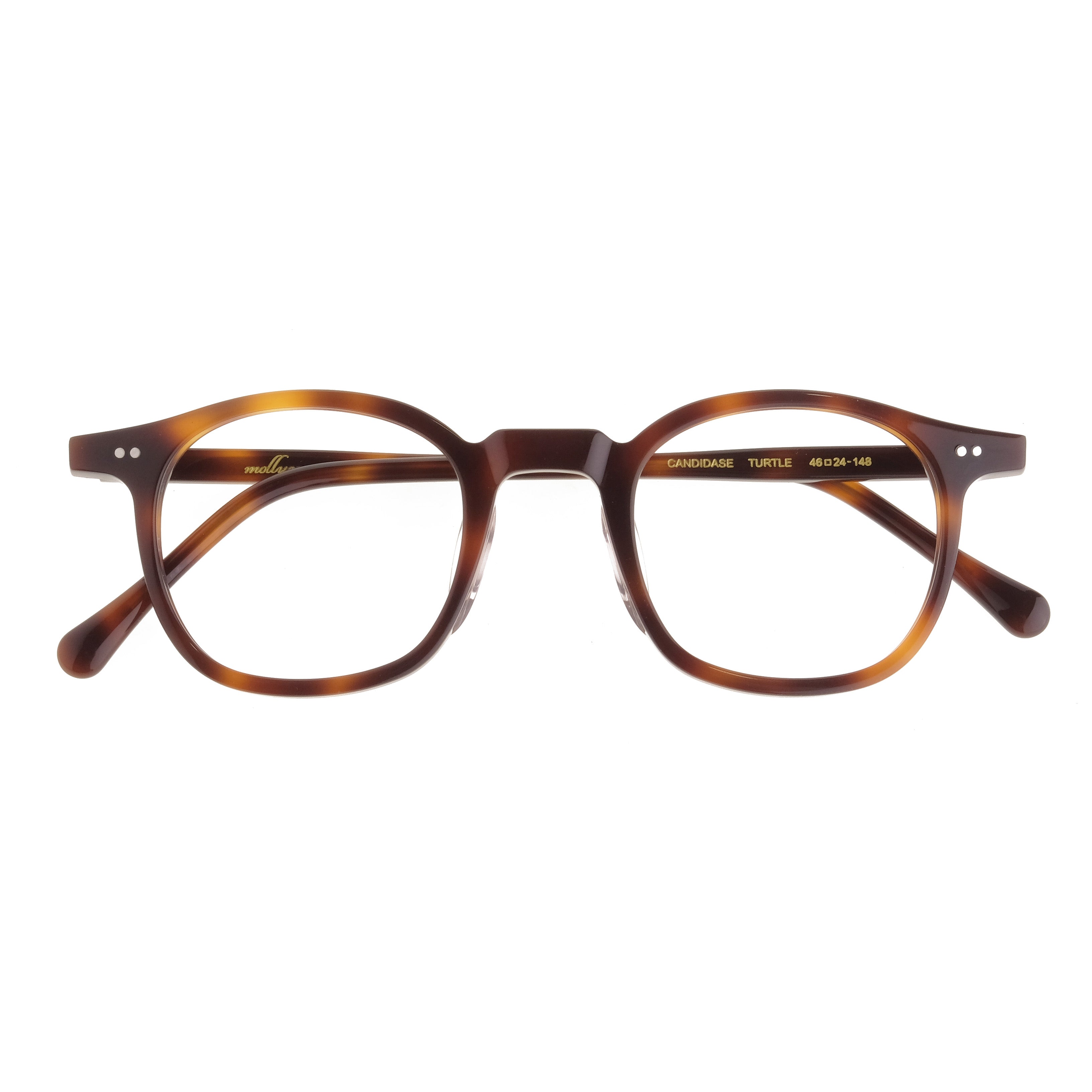 Mollucas The Architect Candidase