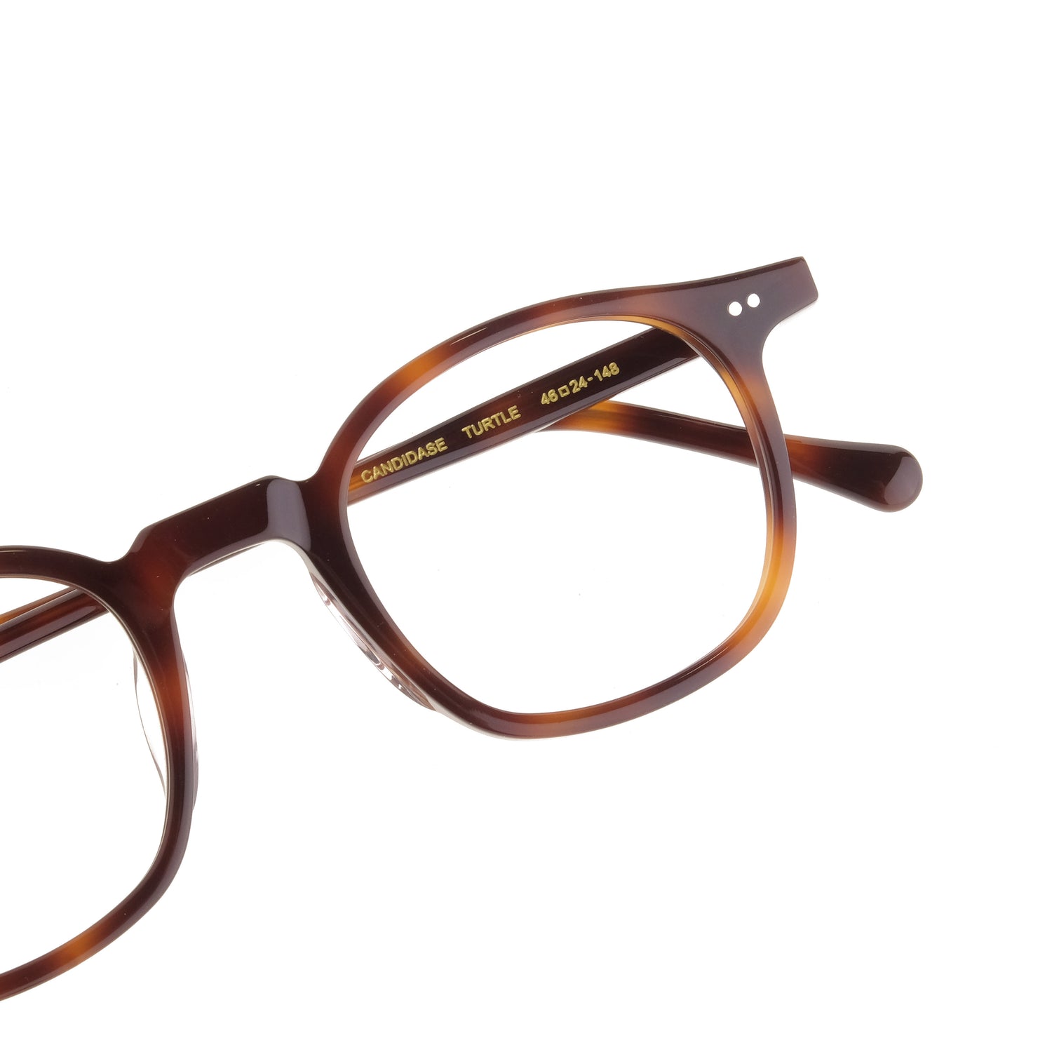 Mollucas The Architect Candidase