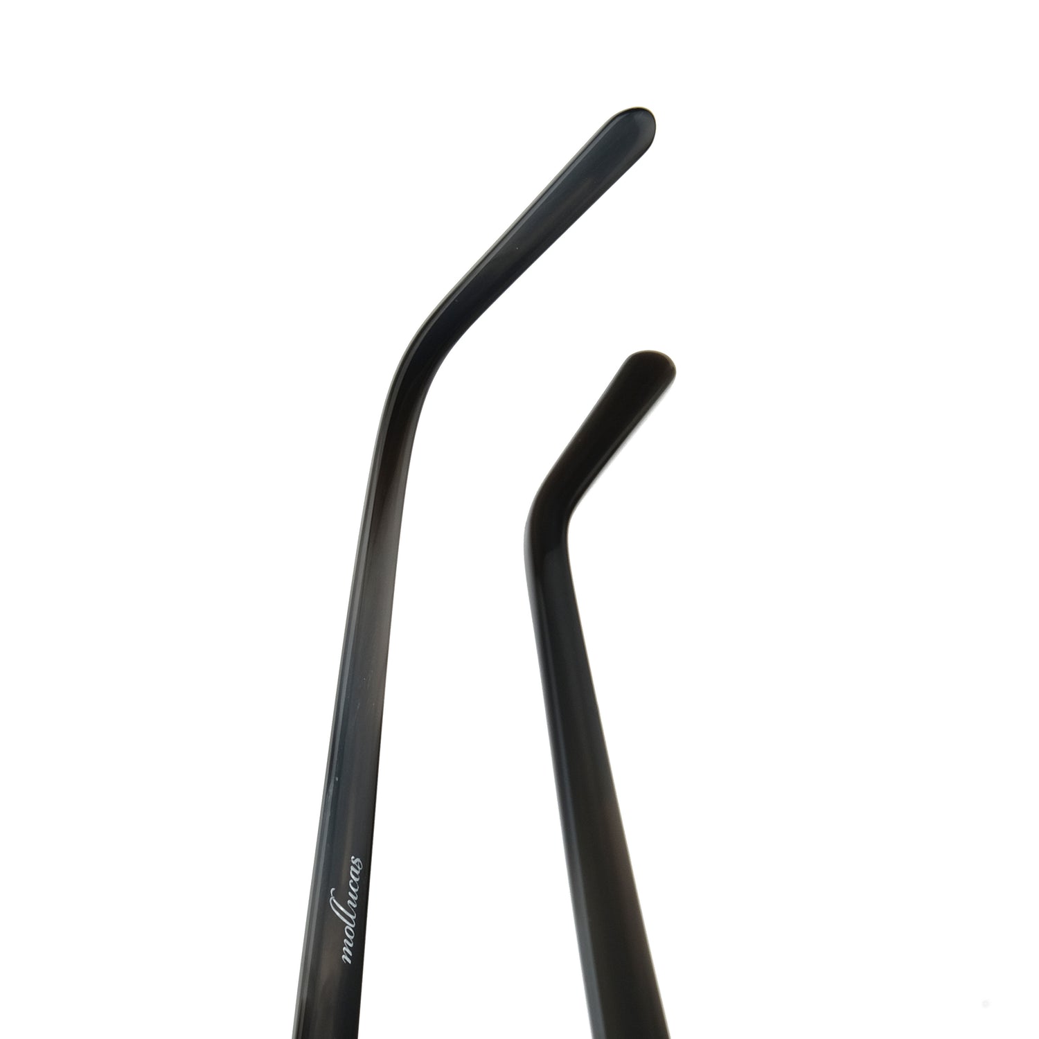 Mollucas Pangandaran