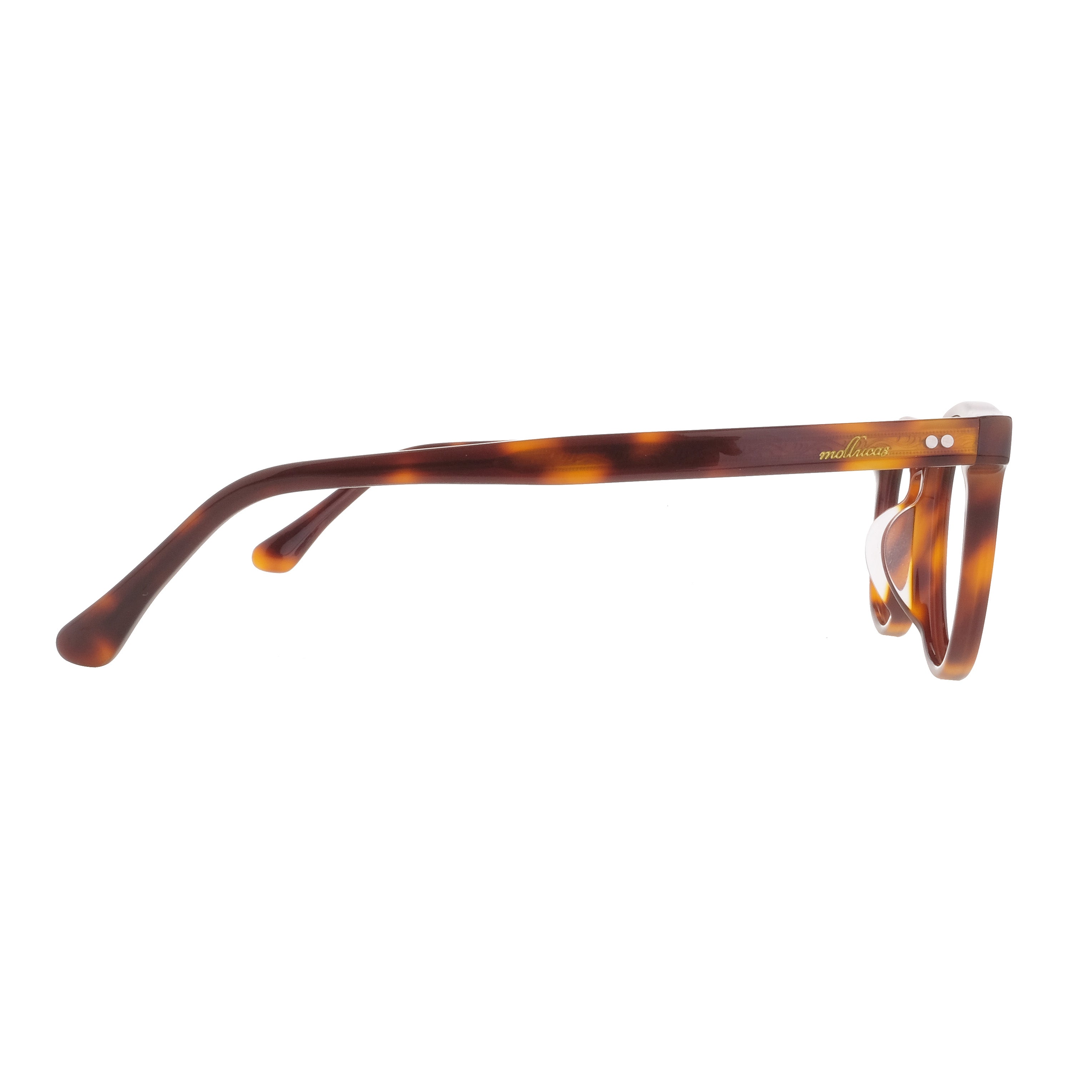 Mollucas The Architect Praya