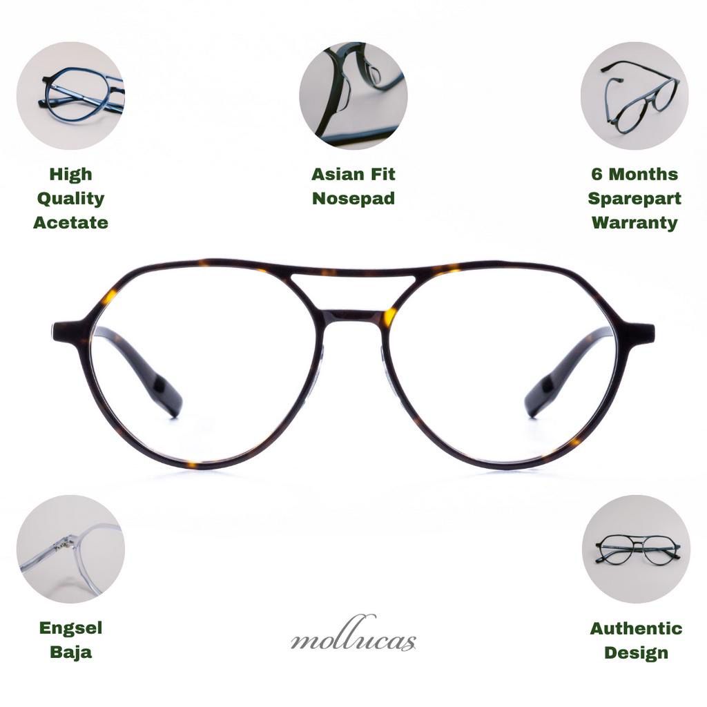 Mollucas The Professor