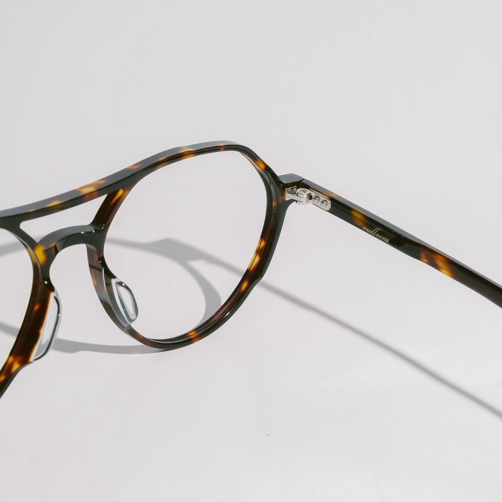 Mollucas The Professor